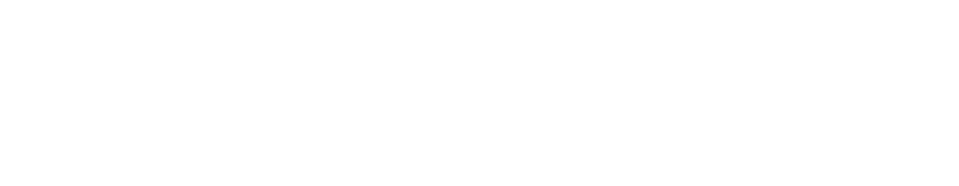 Inforcer logo